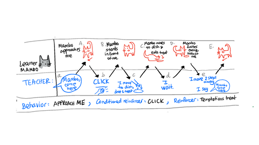 Reinforcement Systems (Notes from VT Part 1)