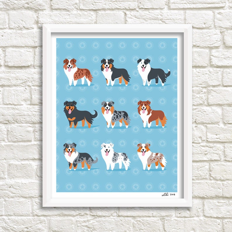 AUSTRALIAN SHEPHERDS print