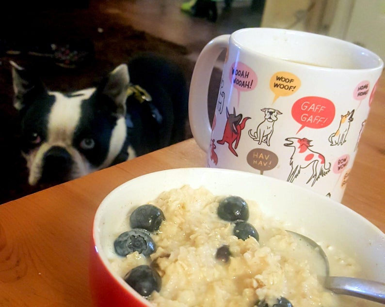 BARKING DOGS Mug