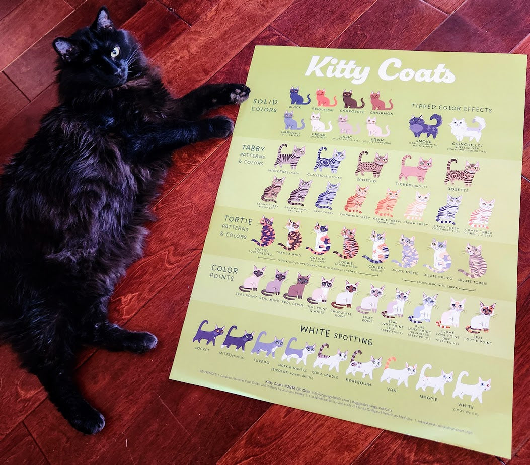 KITTY COATS Poster
