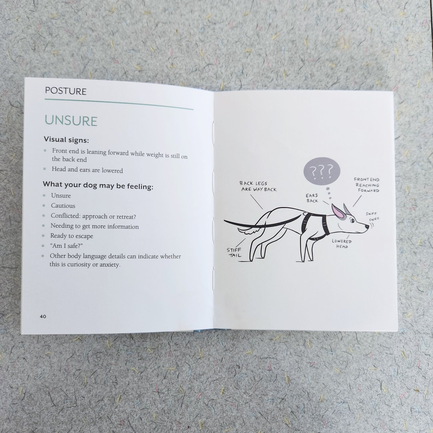 DOGGIE LANGUAGE - signed copy