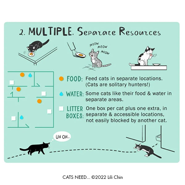 Cats Need...