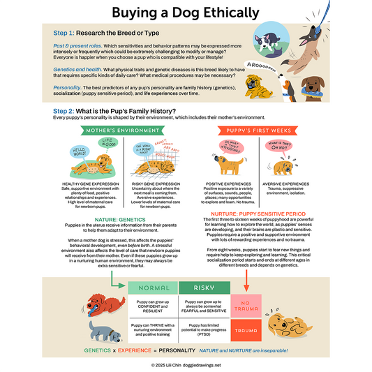 Buying a Dog Ethically