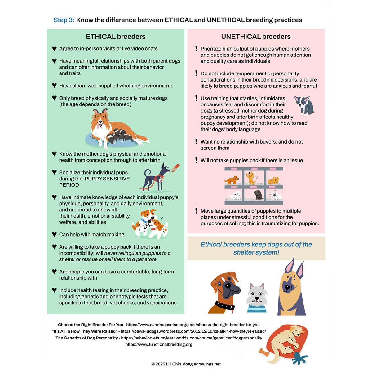 Buying a Dog Ethically