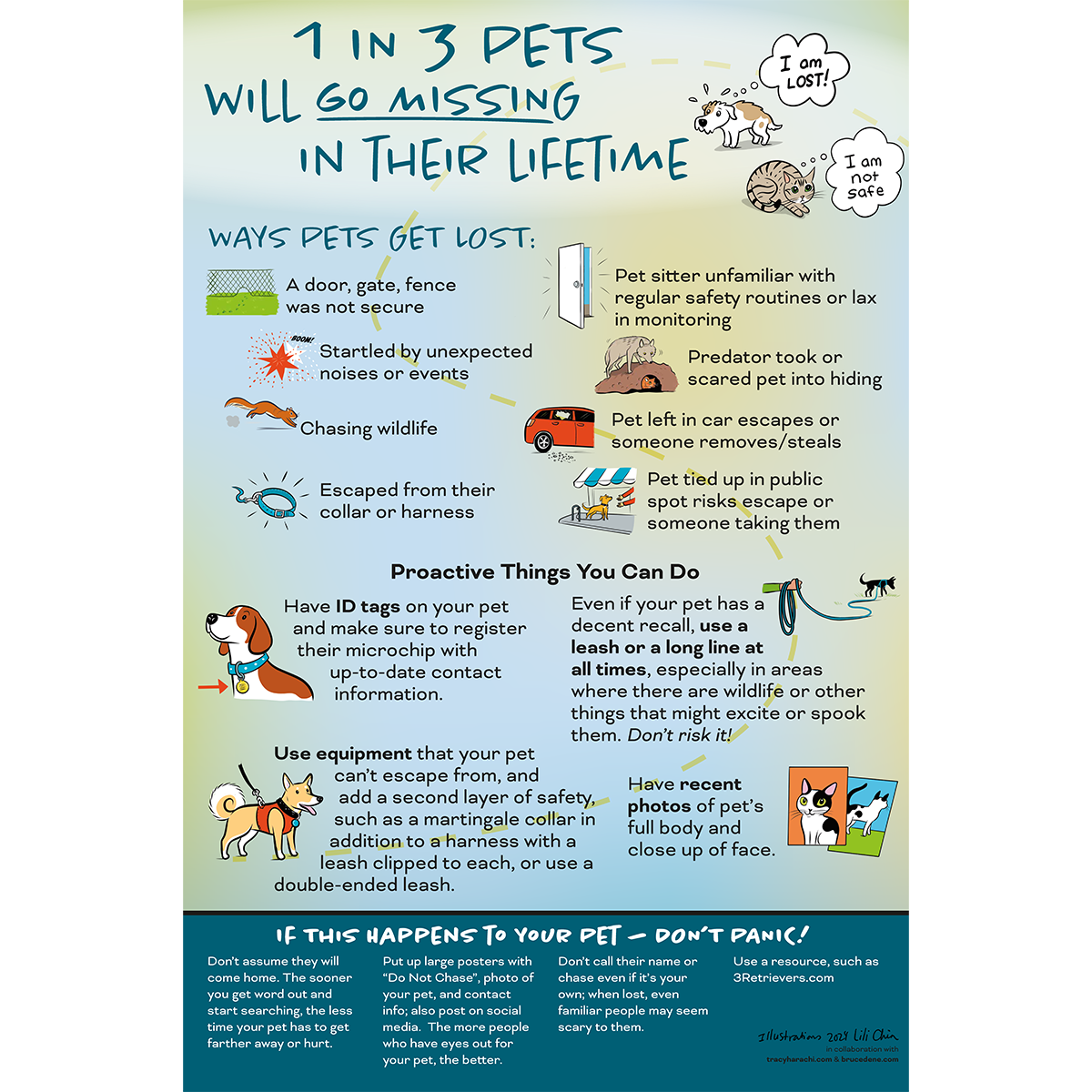 Lost pets!