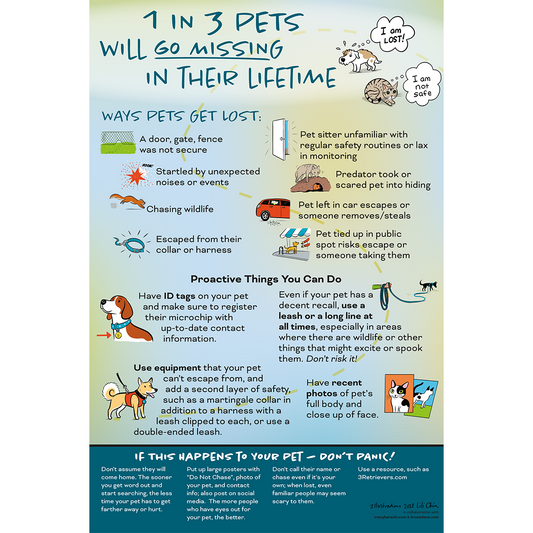 Lost pets!