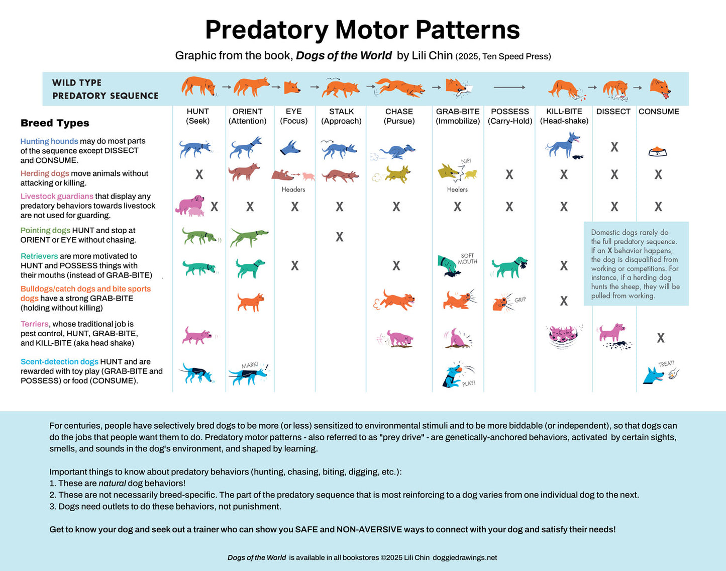 Predatory Motor Patterns (Dogs)