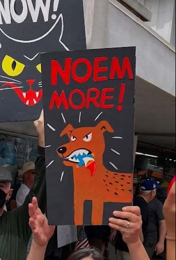 Protest signs