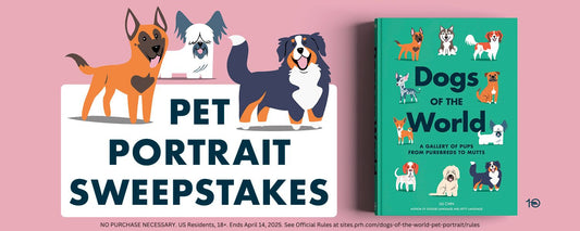 Pet Portrait Sweepstakes!