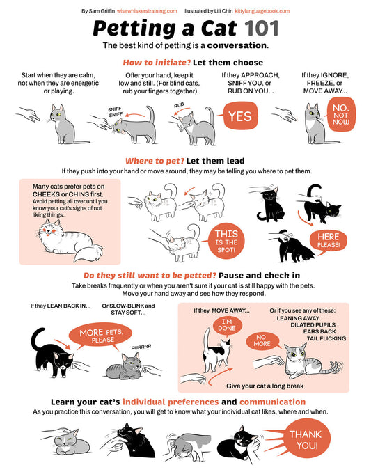 New: Petting a Cat 101