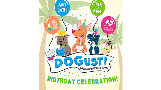 DOGUST Events