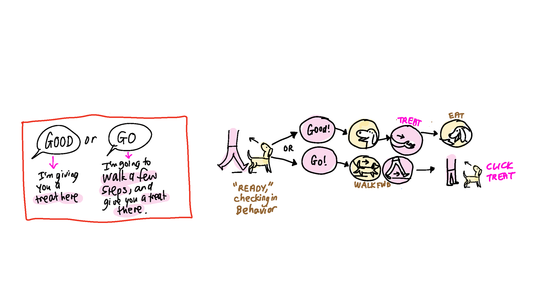 Loose-leash walking (Notes from VT part 2)