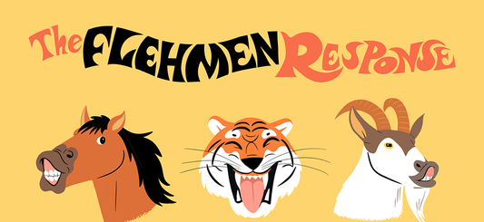 The Flehmen Response