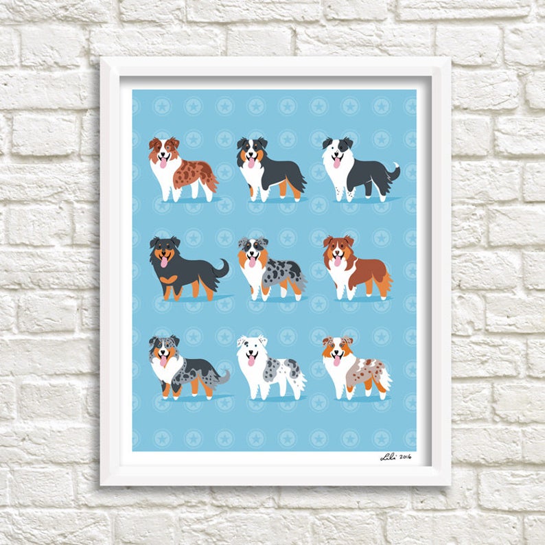 AUSTRALIAN SHEPHERDS print