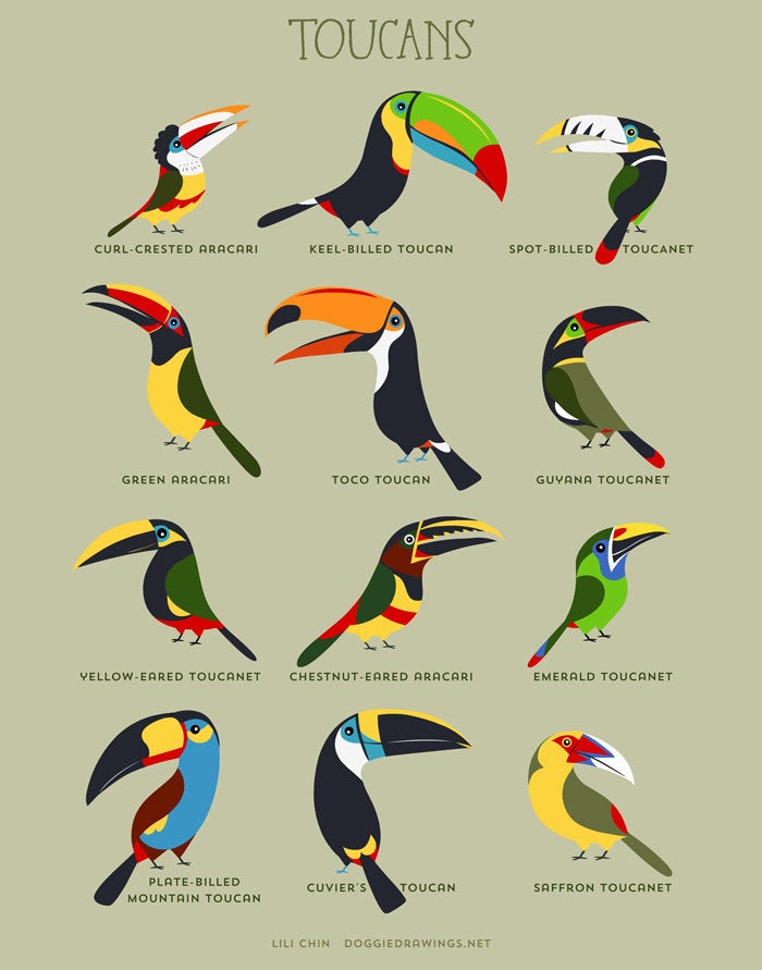 TOUCANS art print