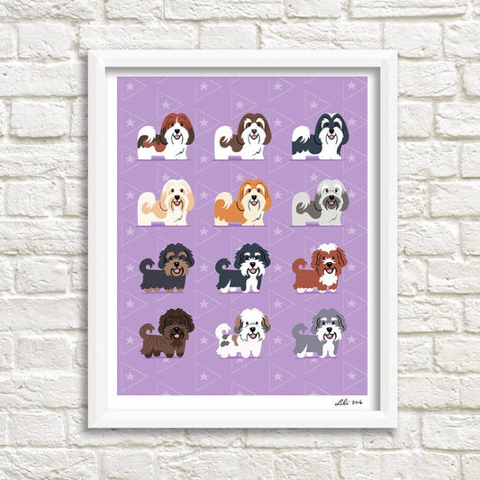 HAVANESE print