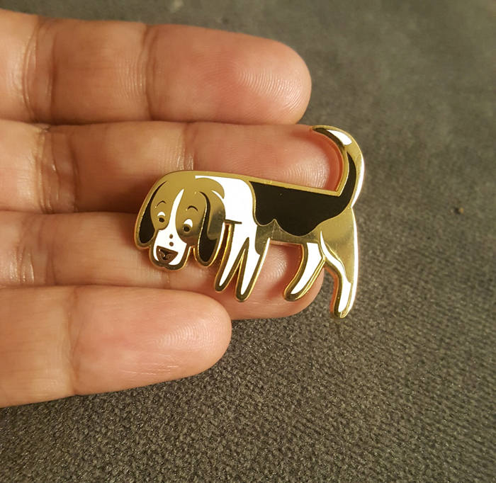 BEAGLE Pin