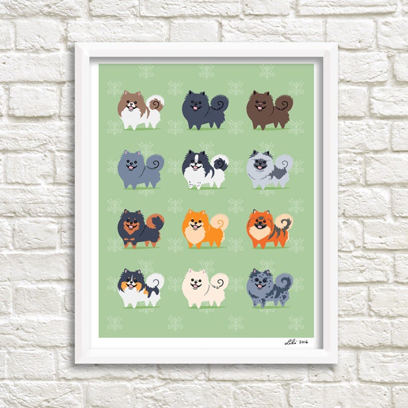 POMERANIANS print