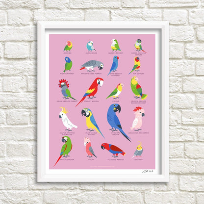 PARROTS print