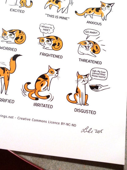 CAT LANGUAGE Print