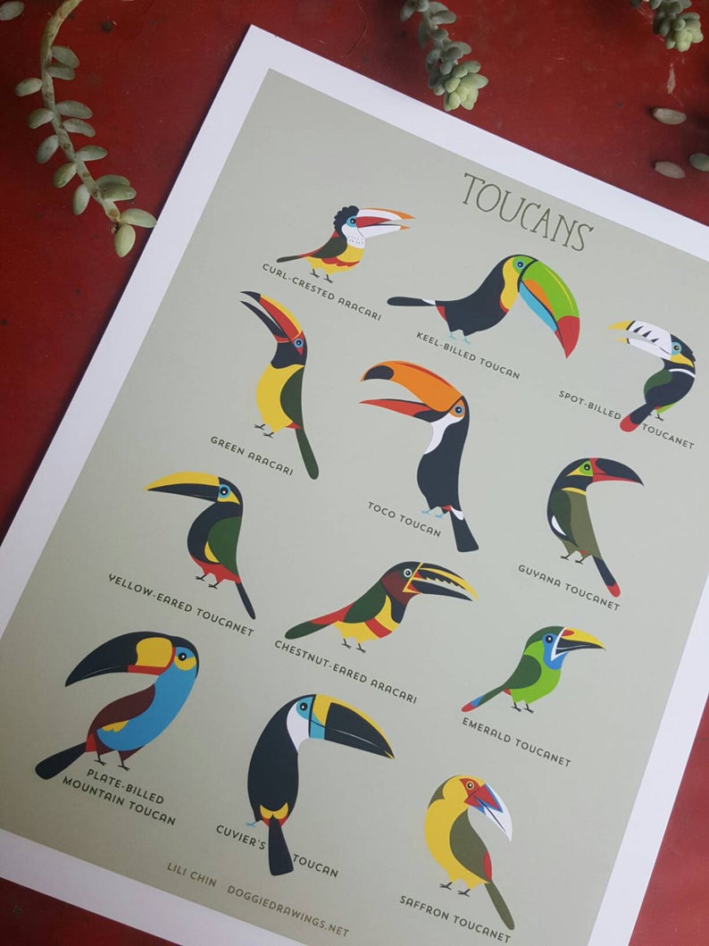 TOUCANS art print