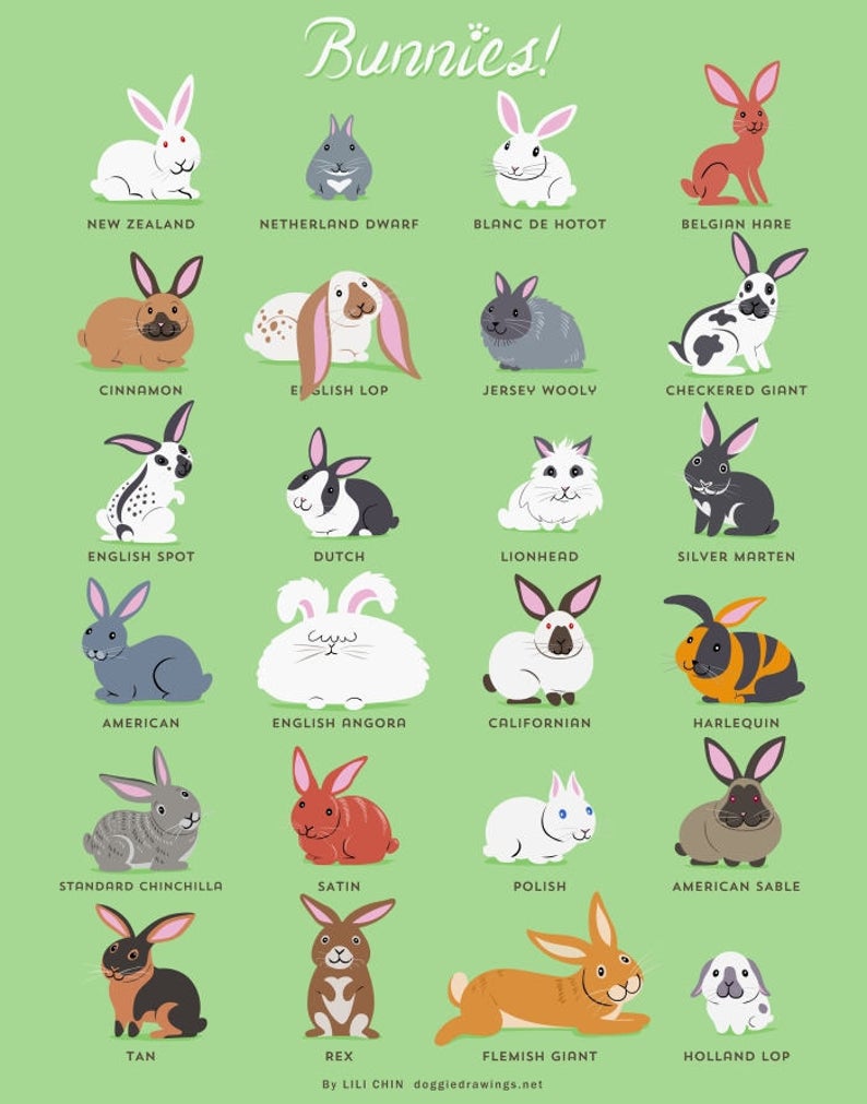 BUNNIES print