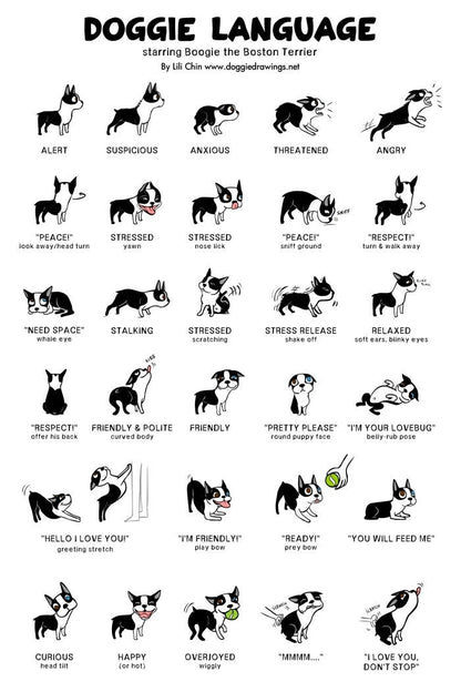 DOGGIE LANGUAGE Print