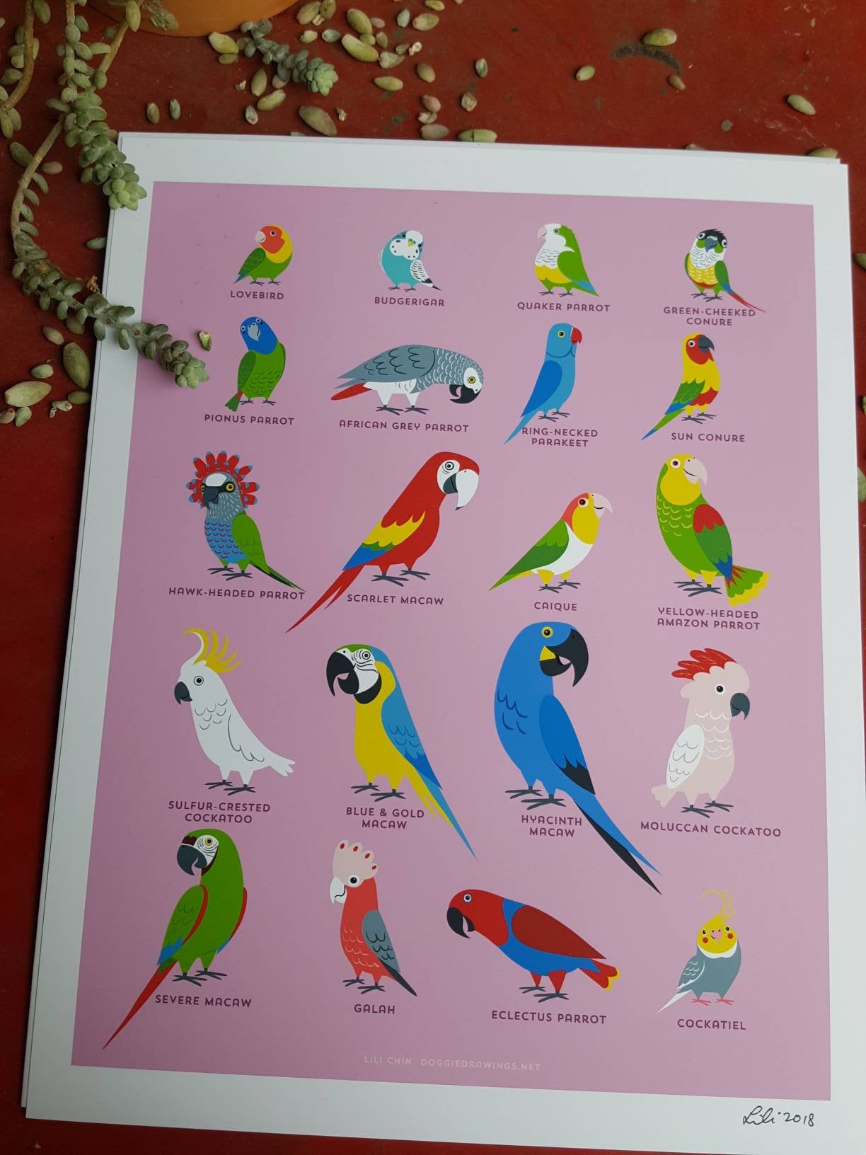 PARROTS print