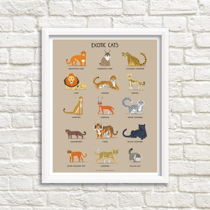 EXOTIC/WILD CATS print