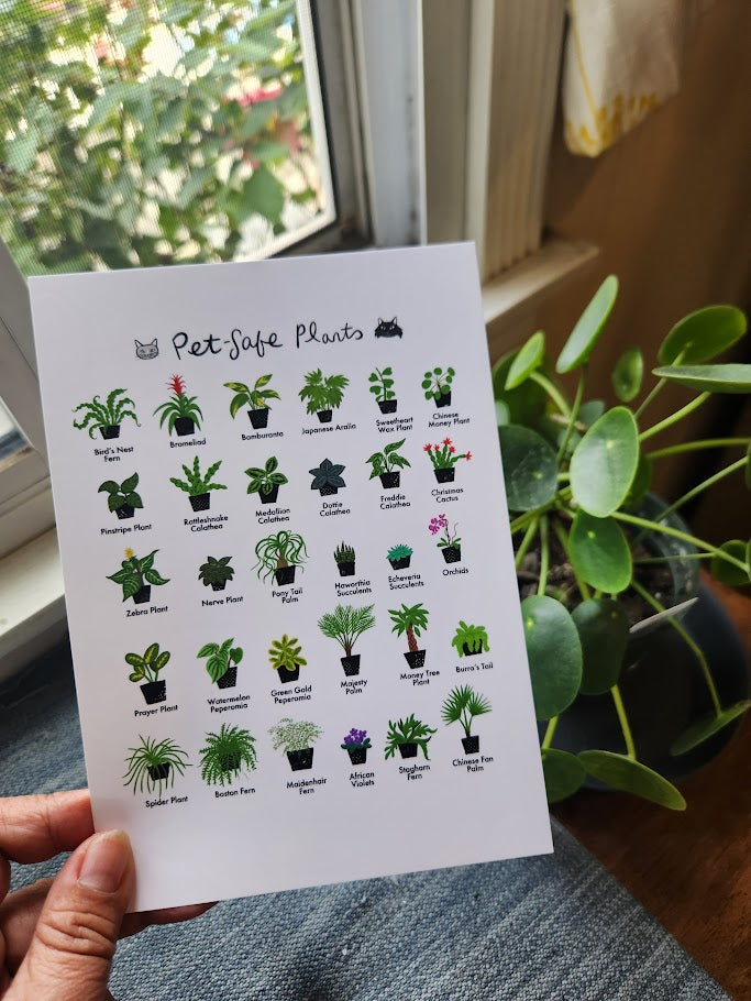 Pet-Safe Plants print