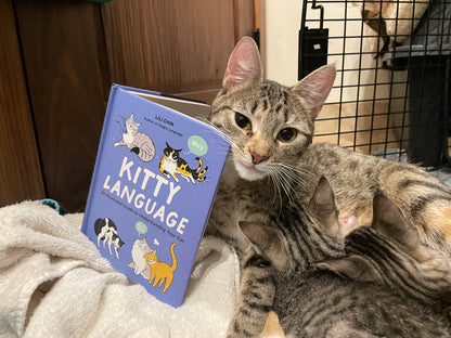 KITTY LANGUAGE - signed copy