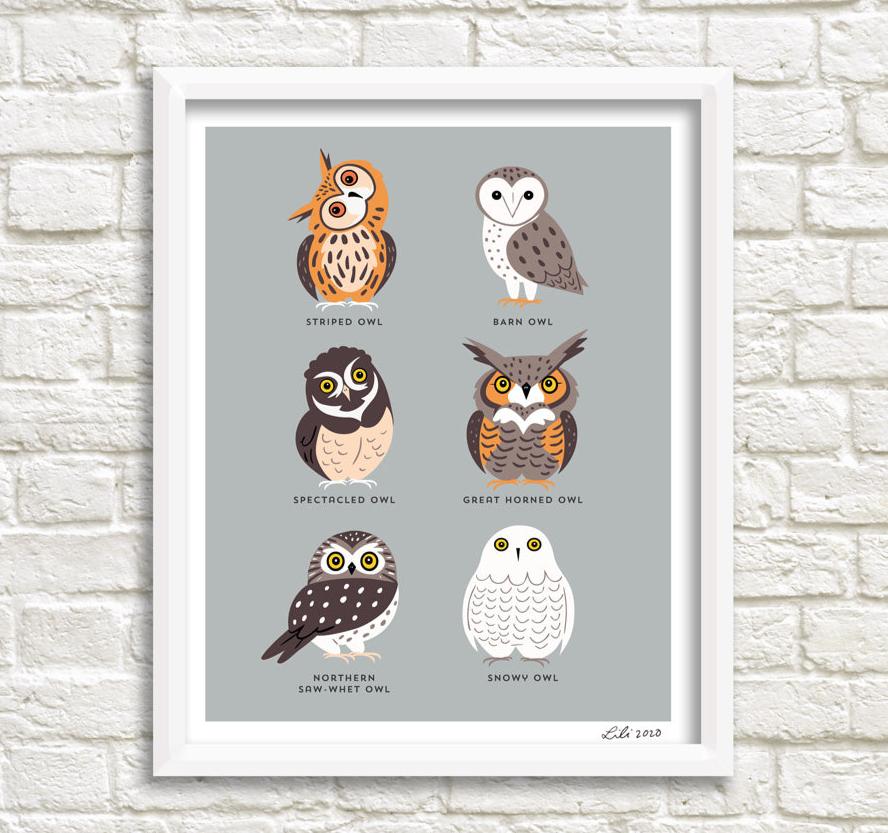 OWLS print