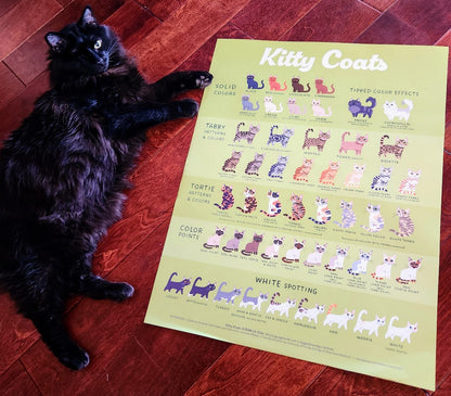 KITTY COATS Poster