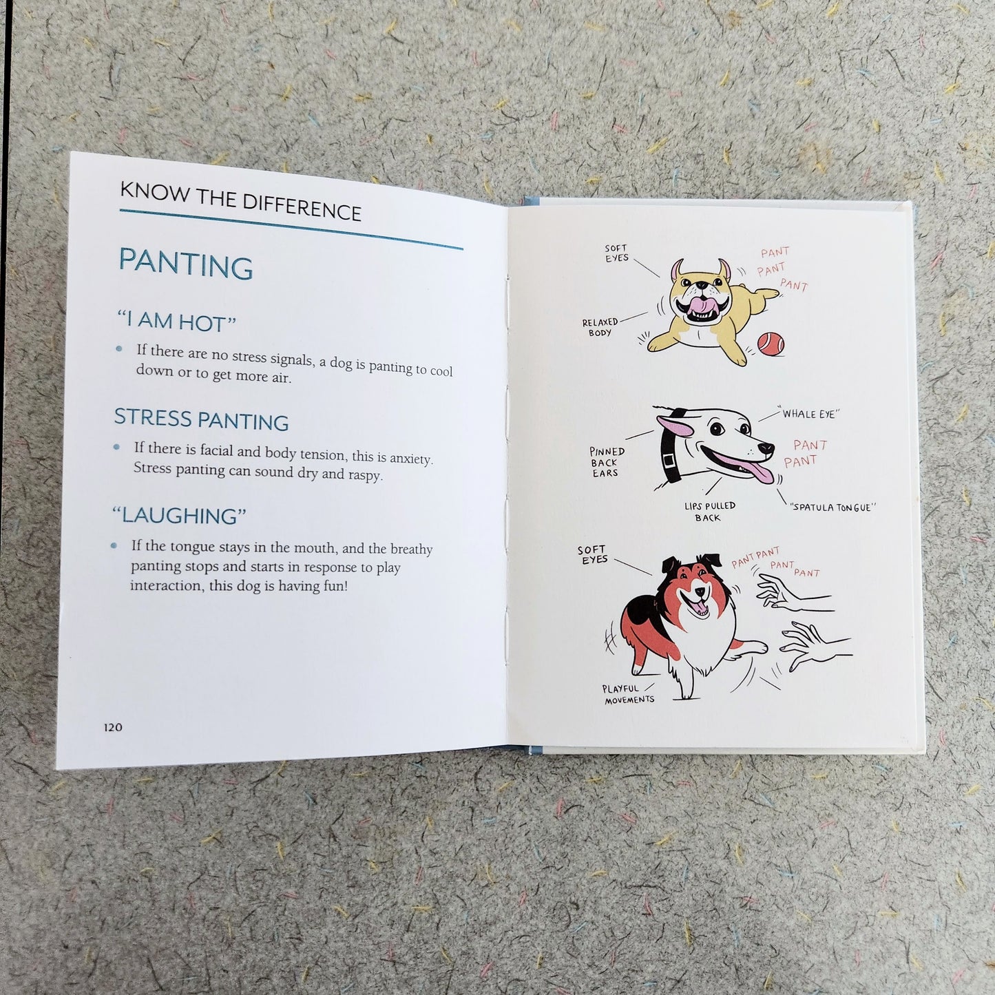 DOGGIE LANGUAGE - signed copy