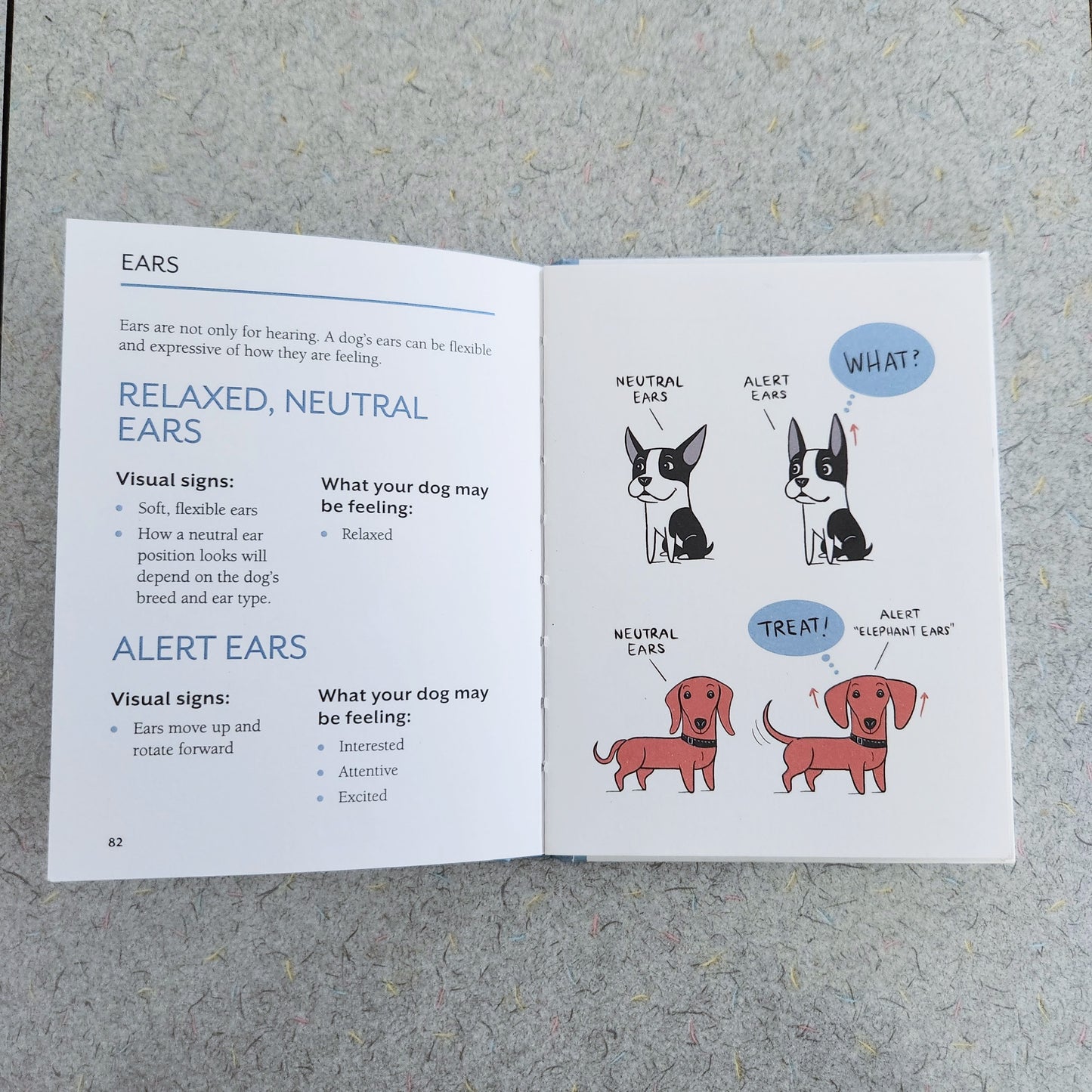 DOGGIE LANGUAGE - signed copy