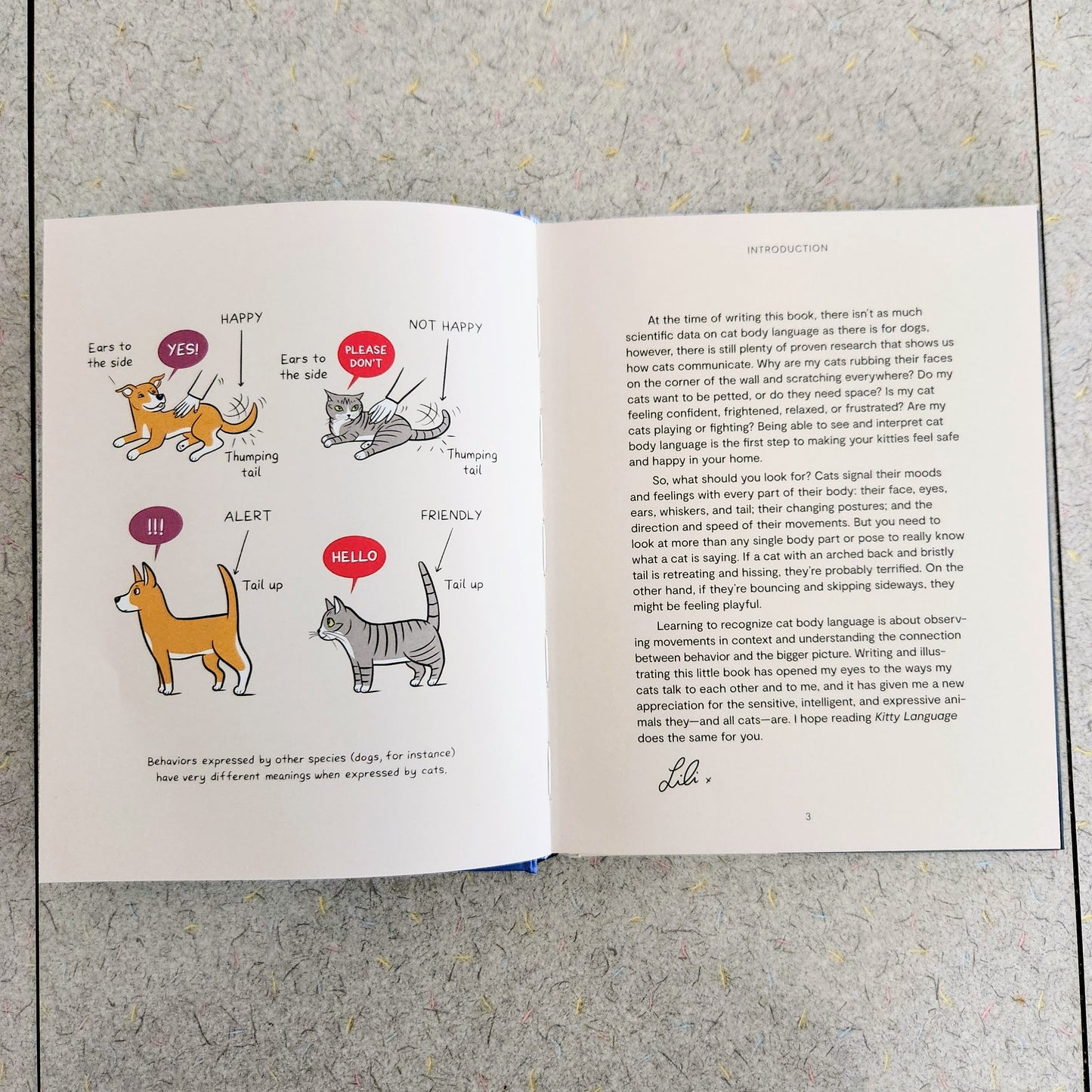 KITTY LANGUAGE - signed copy