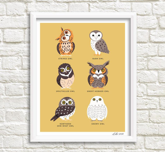 OWLS print