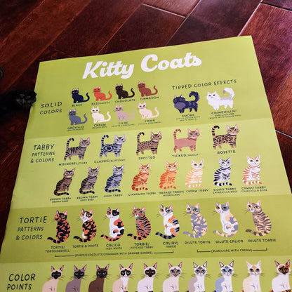 KITTY COATS Poster