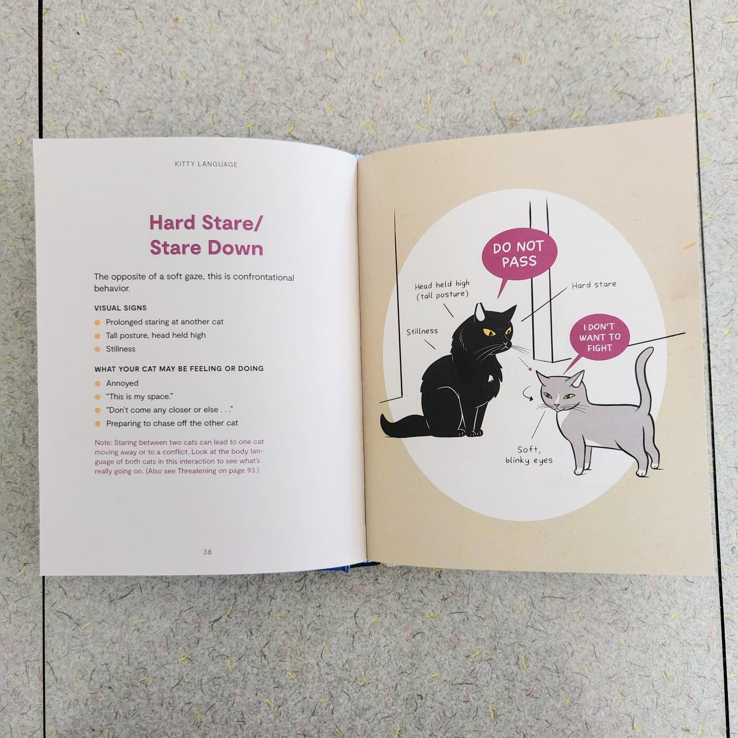 KITTY LANGUAGE - signed copy