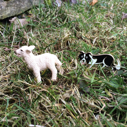 BORDER COLLIE Pin