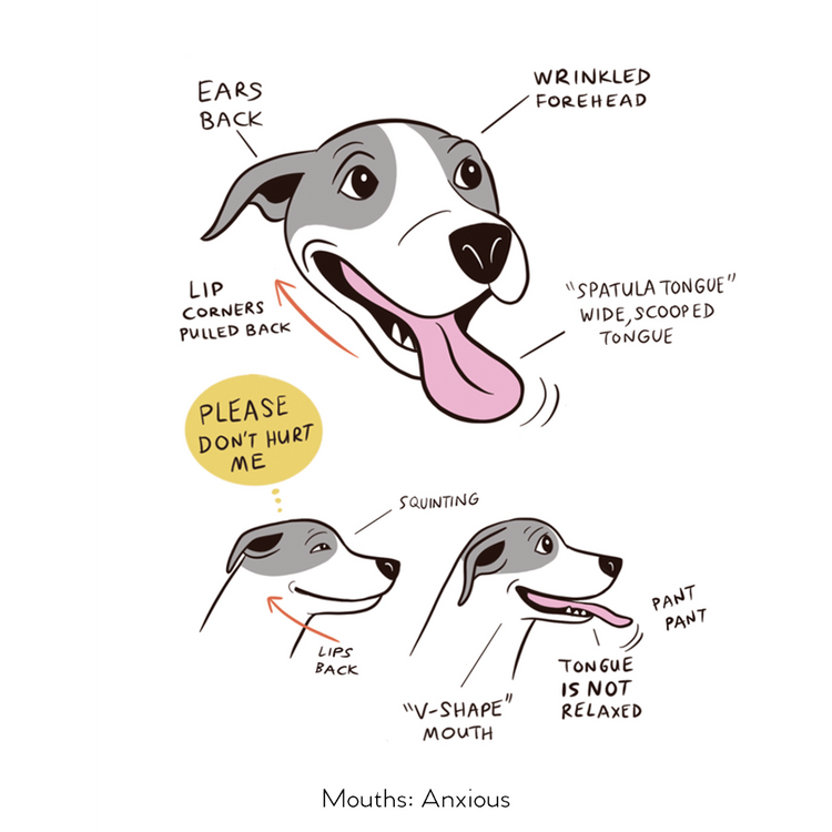 Dog Model Language Doggie Language, written & illustrated by Lili Chin – Lili Chin Art Inc