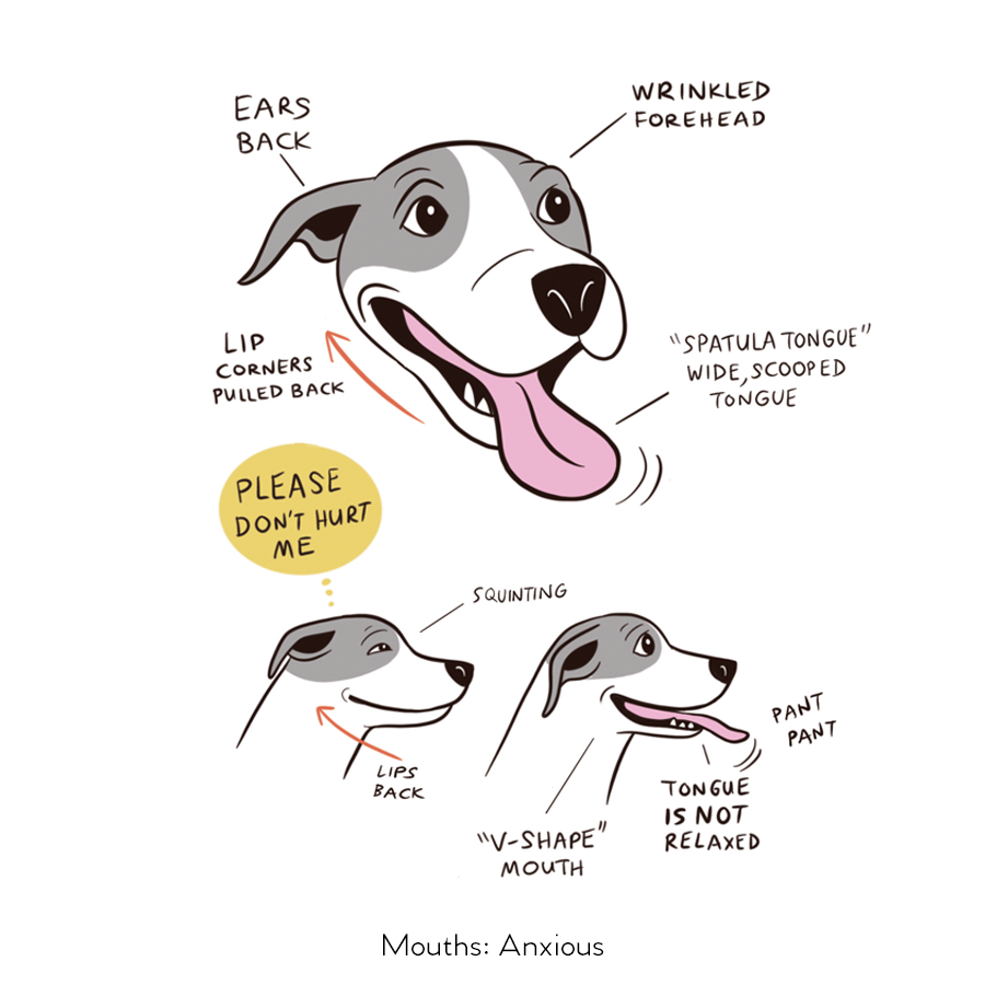 Doggie Language, written & illustrated by Lili Chin – Lili Chin Art Inc