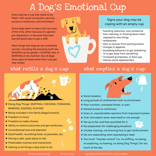 A Dog's Emotional Cup