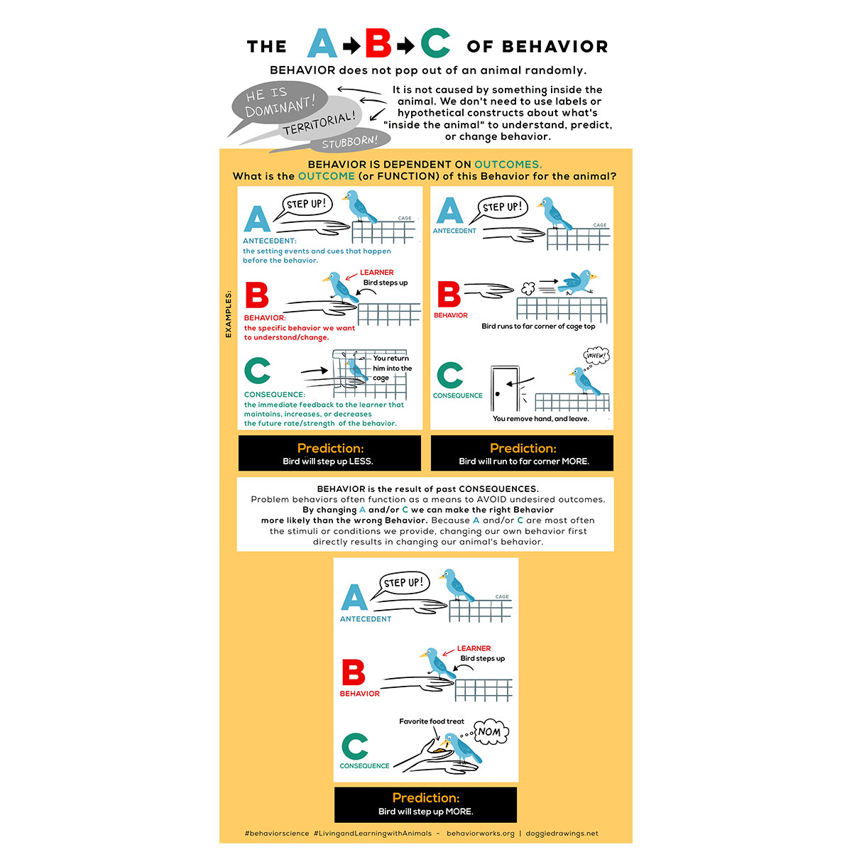 ABC of Behavior