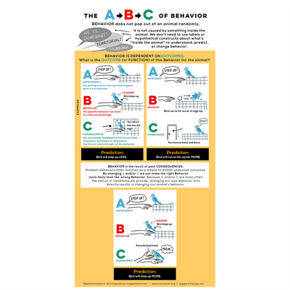 ABC of Behavior