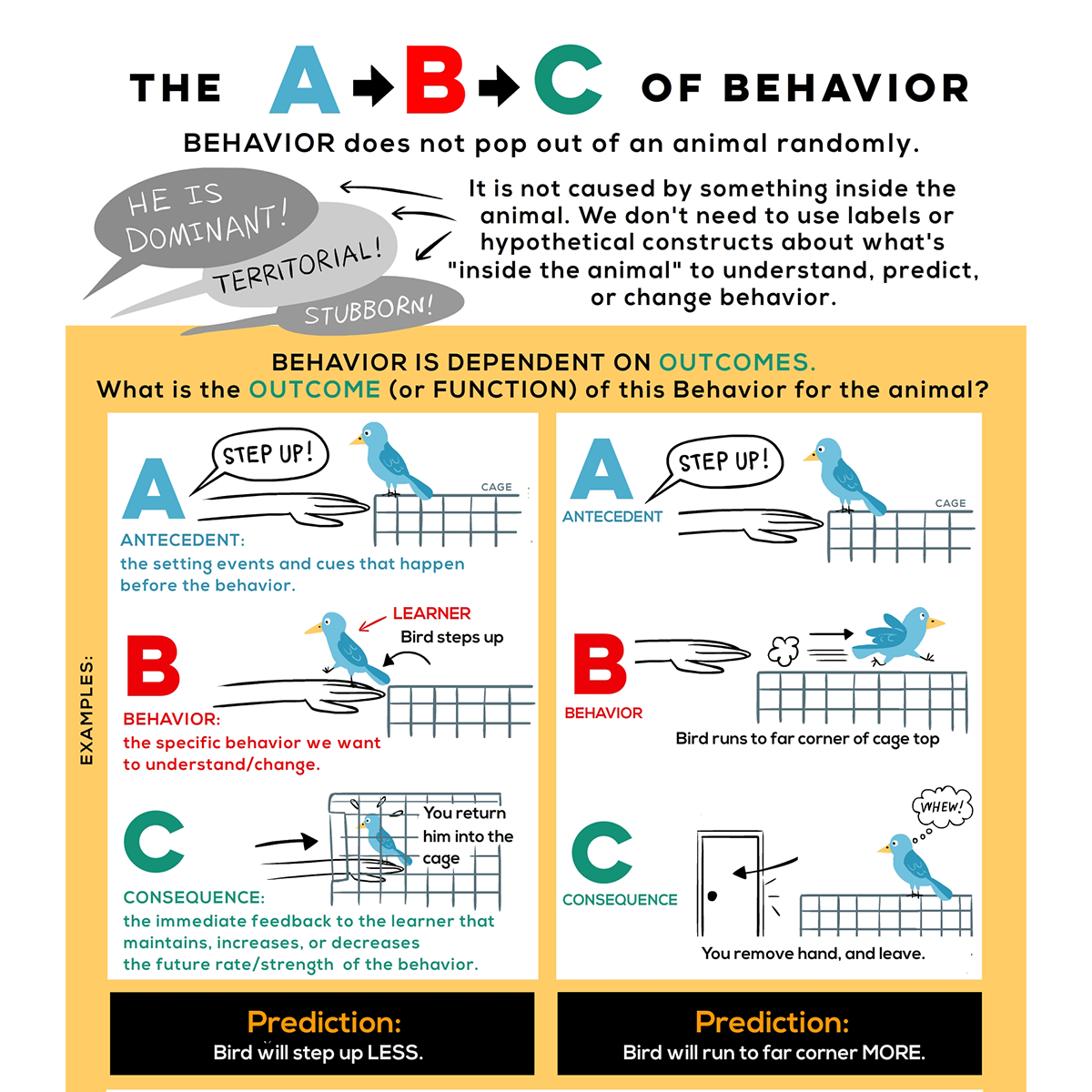 ABC of Behavior