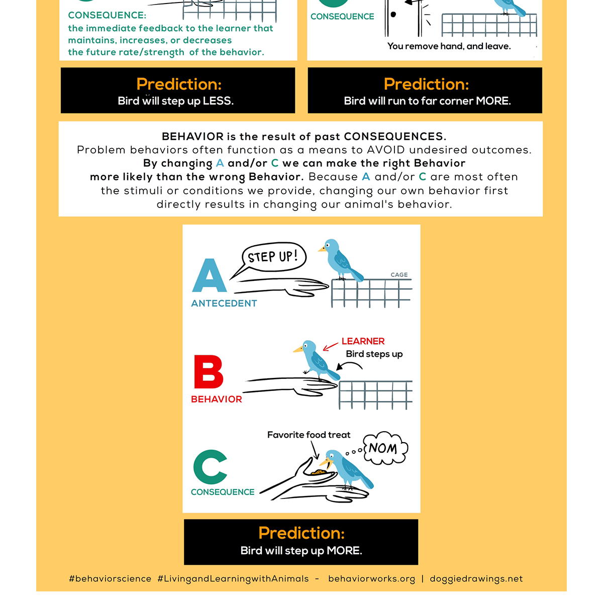 ABC of Behavior