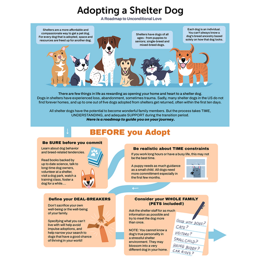 Adopting a Shelter Dog