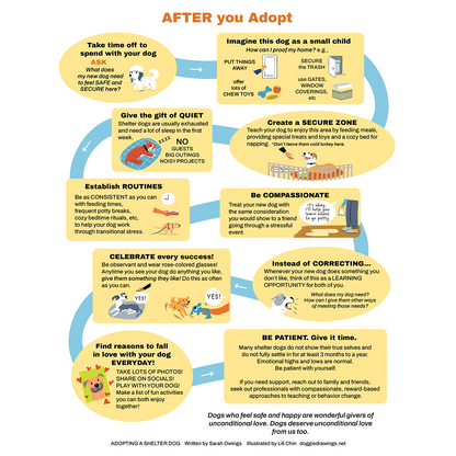 Adopting a Shelter Dog