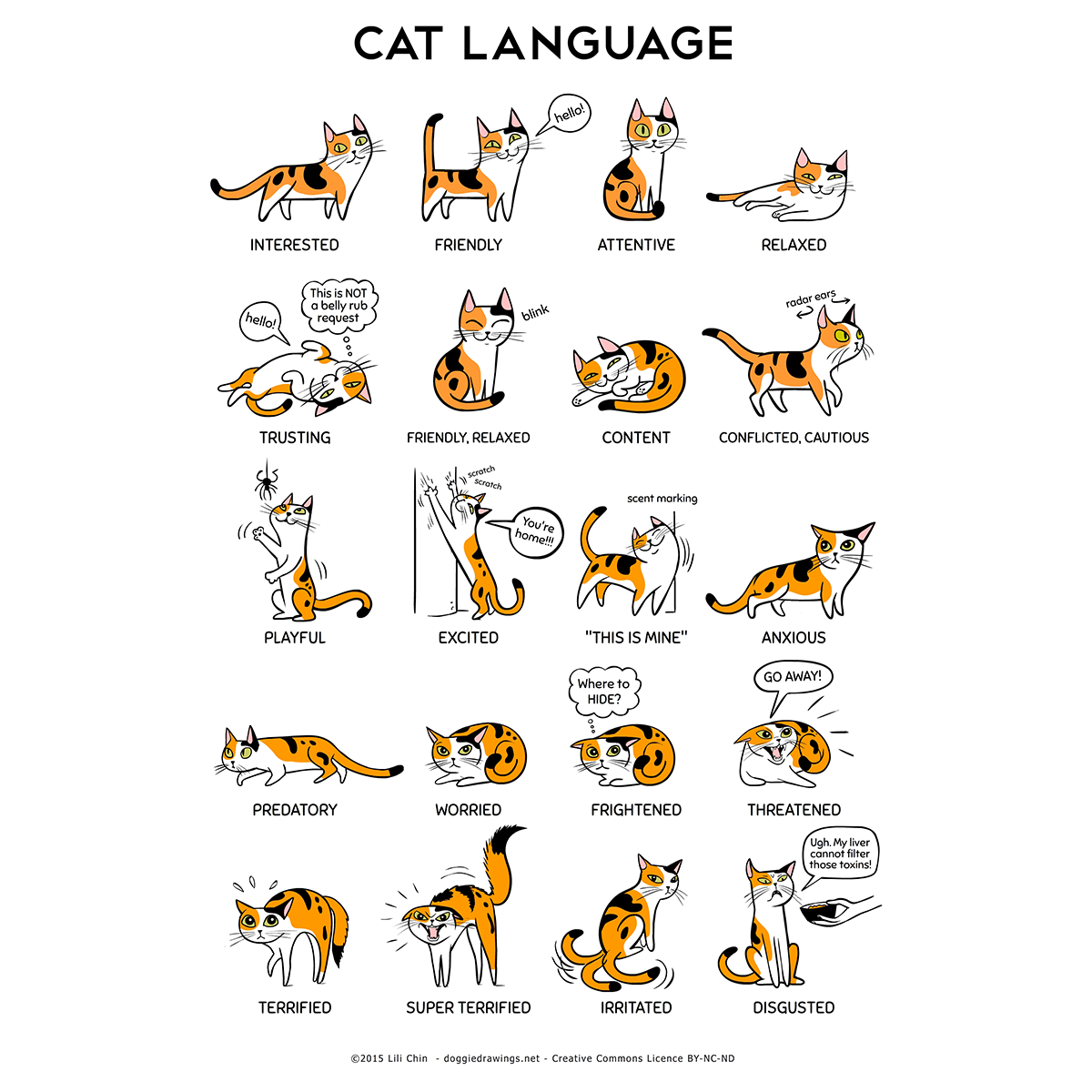 Cat Language